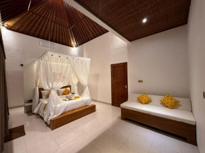 The Alus Villa
